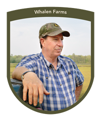 MFT - Whalen Farms