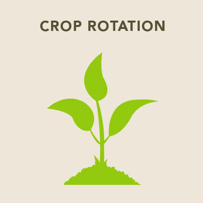 Crop Rotation Sticker Crop Rotation Clipart