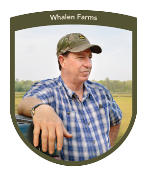 MFT - Whalen Farms